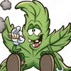 slom_thc