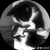 .nicha297