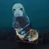 voidlugger