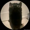 yushu_gaming