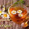 ayliva96251737
