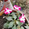 premtamanggmail