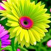 ebrahim.is68