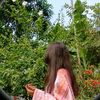 user1954313286087