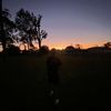 alora_806