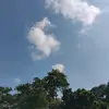 ffauzyy11