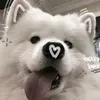 vungc42