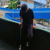 nack_kk0