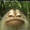 mauri_12o