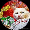 nam.duy7575