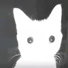 sykuu.00