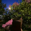 sura_4_7