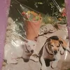 margaret.june.pra