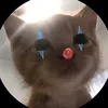 _m4nk_