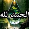 basma.amil6