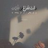 jaweedkamal50