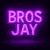 ivg_brosjay
