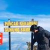bangir407