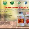 dxn05