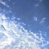 shimaa.ahmed7164