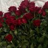 manal.adell01