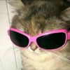 rilli_mee