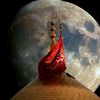 zawar.hussain8723