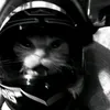 d3f.n0t__l1llyy.._
