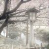 nanaty56933
