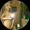 camilogamer55