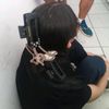 kisadilla_03