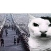 kitler_100