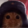 kekko_ioni8
