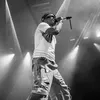 realg838