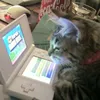 neonbruh0