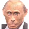 alecassella