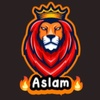 aslam.mohamed23