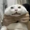 lam.sao.de.cau.th