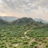 nawaf1243