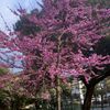 kheira3127