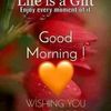user4811999344916