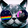 elforasterothm0