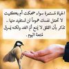 user2246674193009
