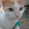 zeezee5346