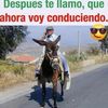 gonzalez.cordoba.tico