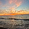 jason_sgro12