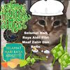 firashazim9