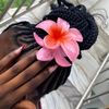 lifeofniniola