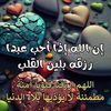 abumustafa5472