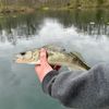 basskicker01